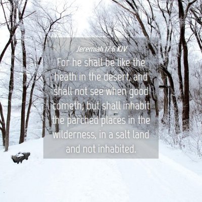 Picture 04 - Jeremiah 17:6 KJV - For he shall be like the heath in the desert, and - Bible Verse Picture