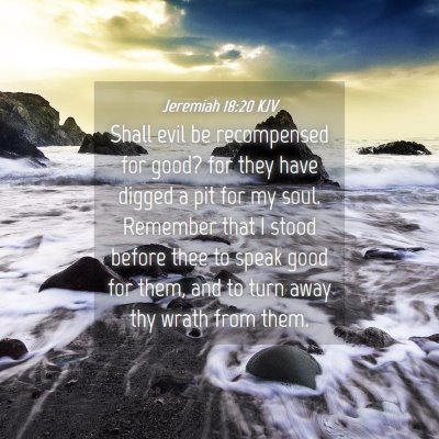 Picture 04 - Jeremiah 18:20 KJV - Shall evil be recompensed for good? for they have - Bible Verse Picture