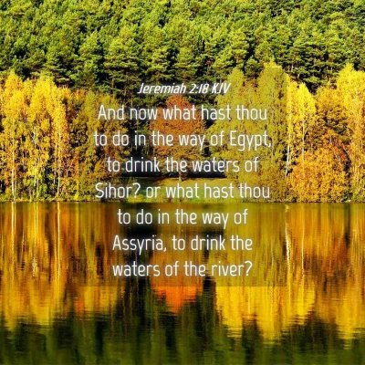 Picture 04 - Jeremiah 2:18 KJV - And now what hast thou to do in the way of Egypt, - Bible Verse Picture