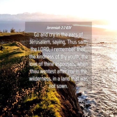 Picture 04 - Jeremiah 2:2 KJV - Go and cry in the ears of Jerusalem, saying, Thus - Bible Verse Picture