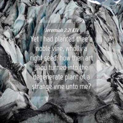 Picture 04 - Jeremiah 2:21 KJV - Yet I had planted thee a noble vine, wholly a - Bible Verse Picture