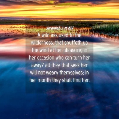 Picture 04 - Jeremiah 2:24 KJV - A wild ass used to the wilderness, that snuffeth - Bible Verse Picture