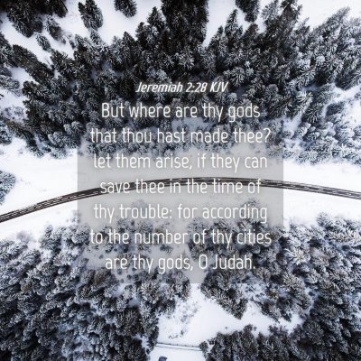 Picture 04 - Jeremiah 2:28 KJV - But where are thy gods that thou hast made thee? - Bible Verse Picture