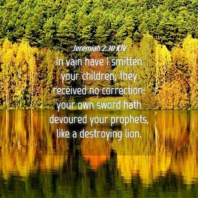 Picture 04 - Jeremiah 2:30 KJV - In vain have I smitten your children; they - Bible Verse Picture