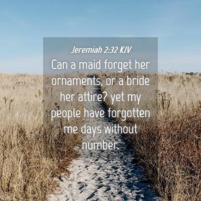 Picture 04 - Jeremiah 2:32 KJV - Can a maid forget her ornaments, or a bride her - Bible Verse Picture