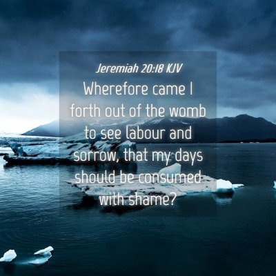 Picture 04 - Jeremiah 20:18 KJV - Wherefore came I forth out of the womb to see - Bible Verse Picture