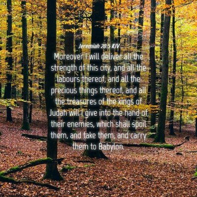 Picture 04 - Jeremiah 20:5 KJV - Moreover I will deliver all the strength of this - Bible Verse Picture