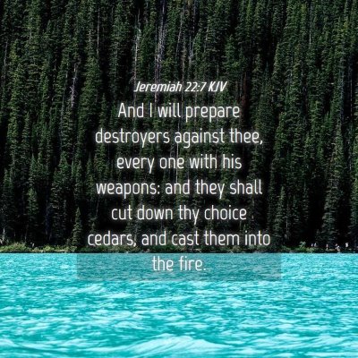 Picture 04 - Jeremiah 22:7 KJV - And I will prepare destroyers against thee, every - Bible Verse Picture