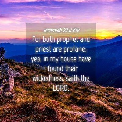 Picture 04 - Jeremiah 23:11 KJV - For both prophet and priest are profane; yea, in - Bible Verse Picture