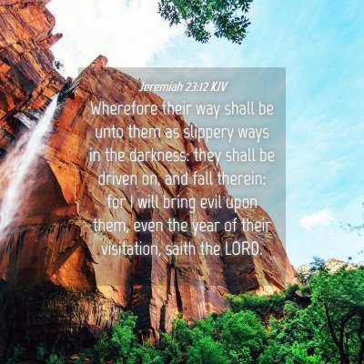 Picture 04 - Jeremiah 23:12 KJV - Wherefore their way shall be unto them as - Bible Verse Picture