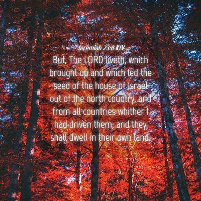 Picture 04 - Jeremiah 23:8 KJV - But, The LORD liveth, which brought up and which - Bible Verse Picture