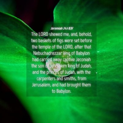 Picture 04 - Jeremiah 24:1 KJV - The LORD shewed me, and, behold, two baskets of - Bible Verse Picture