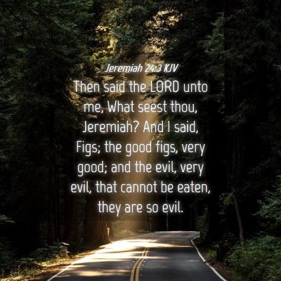 Picture 04 - Jeremiah 24:3 KJV - Then said the LORD unto me, What seest thou, - Bible Verse Picture