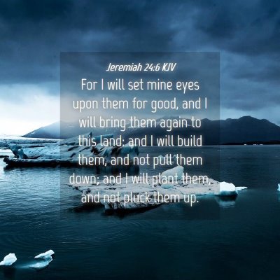 Picture 04 - Jeremiah 24:6 KJV - For I will set mine eyes upon them for good, and - Bible Verse Picture