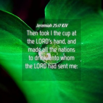 Picture 04 - Jeremiah 25:17 KJV - Then took I the cup at the LORD's hand, and made - Bible Verse Picture