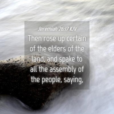 Picture 04 - Jeremiah 26:17 KJV - Then rose up certain of the elders of the land, - Bible Verse Picture