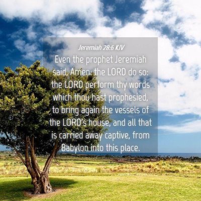 Picture 04 - Jeremiah 28:6 KJV - Even the prophet Jeremiah said, Amen: the LORD do - Bible Verse Picture