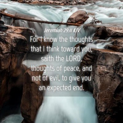 Picture 04 - Jeremiah 29:11 KJV - For I know the thoughts that I think toward you, - Bible Verse Picture
