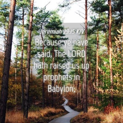 Picture 04 - Jeremiah 29:15 KJV - Because ye have said, The LORD hath raised us up - Bible Verse Picture
