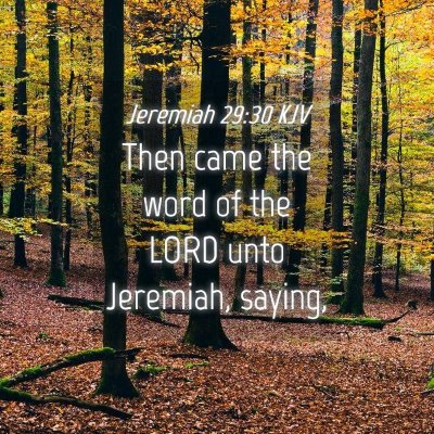 Picture 04 - Jeremiah 29:30 KJV - Then came the word of the LORD unto Jeremiah, - Bible Verse Picture