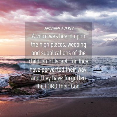 Picture 04 - Jeremiah 3:21 KJV - A voice was heard upon the high places, weeping - Bible Verse Picture