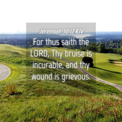 Picture 04 - Jeremiah 30:12 KJV - For thus saith the LORD, Thy bruise is incurable, - Bible Verse Picture