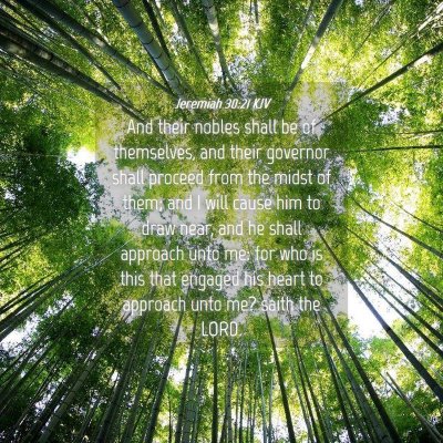 Picture 04 - Jeremiah 30:21 KJV - And their nobles shall be of themselves, and - Bible Verse Picture
