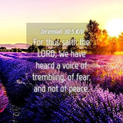 Picture 04 - Jeremiah 30:5 KJV - For thus saith the LORD; We have heard a voice of - Bible Verse Picture