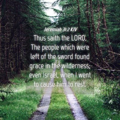 Picture 04 - Jeremiah 31:2 KJV - Thus saith the LORD, The people which were left - Bible Verse Picture