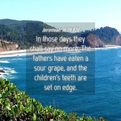 Picture 04 - Jeremiah 31:29 KJV - In those days they shall say no more, The fathers - Bible Verse Picture