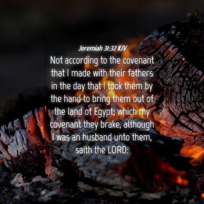 Picture 04 - Jeremiah 31:32 KJV - Not according to the covenant that I made with - Bible Verse Picture