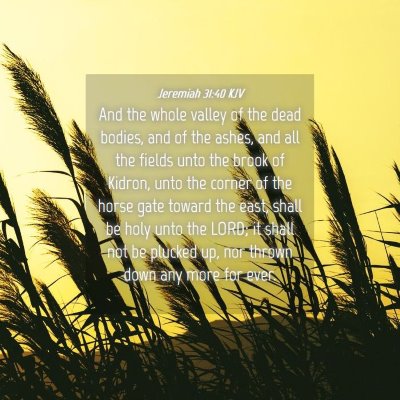 Picture 04 - Jeremiah 31:40 KJV - And the whole valley of the dead bodies, and of - Bible Verse Picture