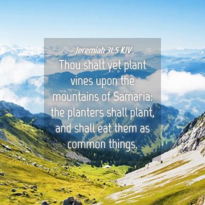 Picture 04 - Jeremiah 31:5 KJV - Thou shalt yet plant vines upon the mountains of - Bible Verse Picture