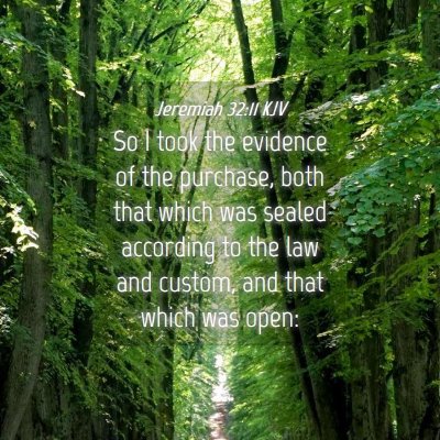 Picture 04 - Jeremiah 32:11 KJV - So I took the evidence of the purchase, both that - Bible Verse Picture