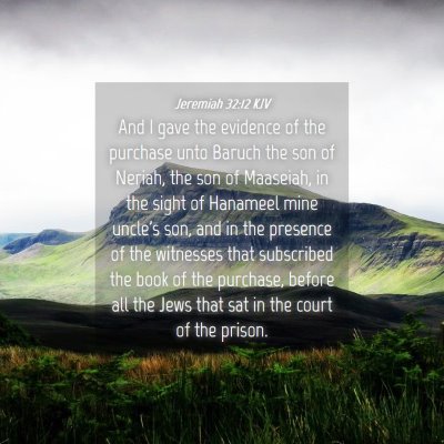 Picture 04 - Jeremiah 32:12 KJV - And I gave the evidence of the purchase unto - Bible Verse Picture