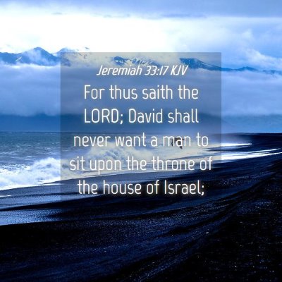 Picture 04 - Jeremiah 33:17 KJV - For thus saith the LORD; David shall never want a - Bible Verse Picture