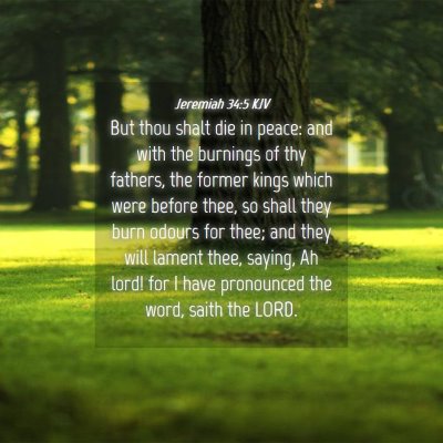 Picture 04 - Jeremiah 34:5 KJV - But thou shalt die in peace: and with the - Bible Verse Picture