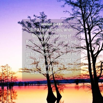 Picture 04 - Jeremiah 35:11 KJV - But it came to pass, when Nebuchadrezzar king of - Bible Verse Picture