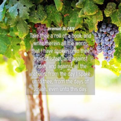 Picture 04 - Jeremiah 36:2 KJV - Take thee a roll of a book, and write therein all - Bible Verse Picture