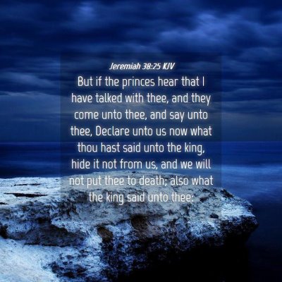 Picture 04 - Jeremiah 38:25 KJV - But if the princes hear that I have talked with - Bible Verse Picture