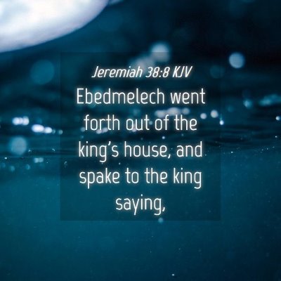 Picture 04 - Jeremiah 38:8 KJV - Ebedmelech went forth out of the king's house, - Bible Verse Picture