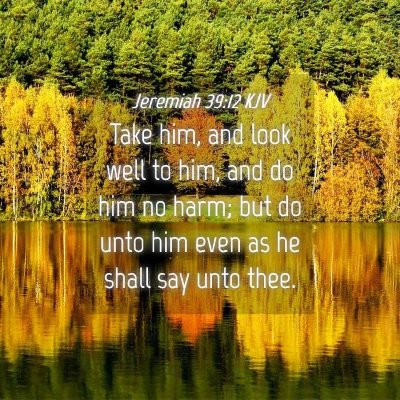 Picture 04 - Jeremiah 39:12 KJV - Take him, and look well to him, and do him no - Bible Verse Picture