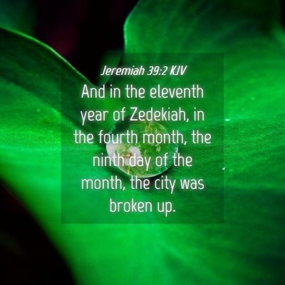 Picture 04 - Jeremiah 39:2 KJV - And in the eleventh year of Zedekiah, in the - Bible Verse Picture