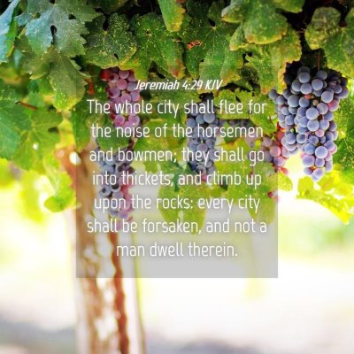 Picture 04 - Jeremiah 4:29 KJV - The whole city shall flee for the noise of the - Bible Verse Picture