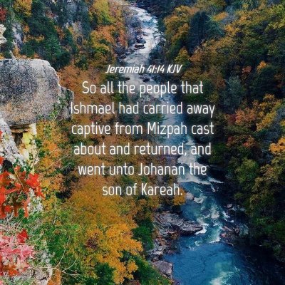 Picture 04 - Jeremiah 41:14 KJV - So all the people that Ishmael had carried away - Bible Verse Picture
