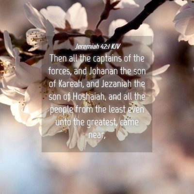 Picture 04 - Jeremiah 42:1 KJV - Then all the captains of the forces, and Johanan - Bible Verse Picture