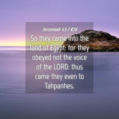 Picture 04 - Jeremiah 43:7 KJV - So they came into the land of Egypt: for they - Bible Verse Picture