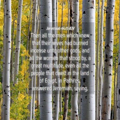 Picture 04 - Jeremiah 44:15 KJV - Then all the men which knew that their wives had - Bible Verse Picture