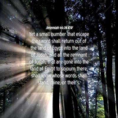Picture 04 - Jeremiah 44:28 KJV - Yet a small number that escape the sword shall - Bible Verse Picture