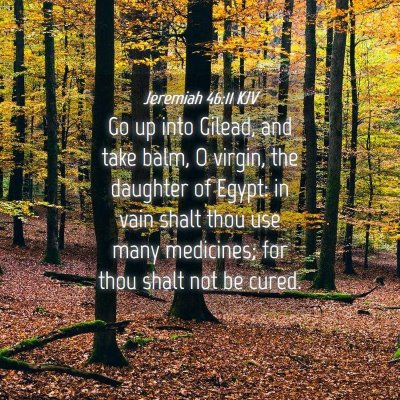 Picture 04 - Jeremiah 46:11 KJV - Go up into Gilead, and take balm, O virgin, the - Bible Verse Picture